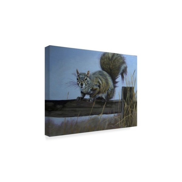 Rusty Frentner 'Squirrel' Canvas Art,24x32